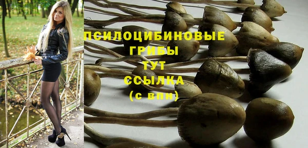 гидра Баксан
