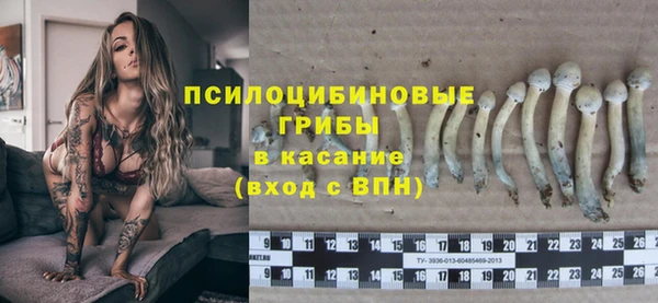 мет Арсеньев