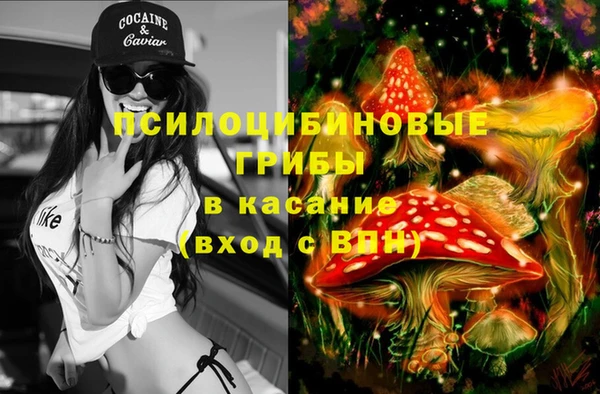 мет Арсеньев